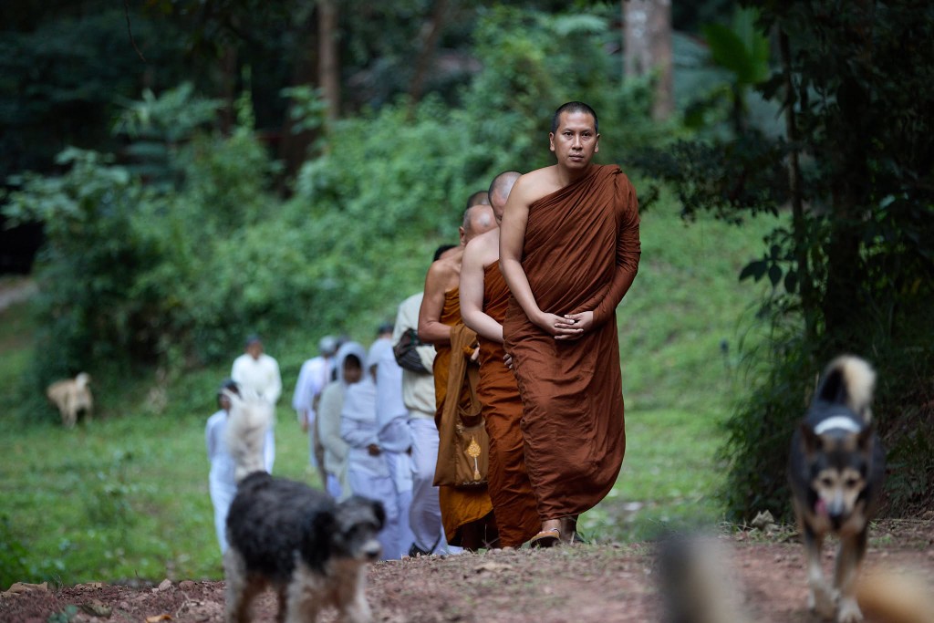 พระสงฆ์เดินจงกรมในป่าที่สาขาพะเยา